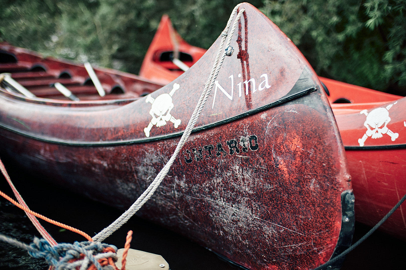 Geburtstag Tante Leni